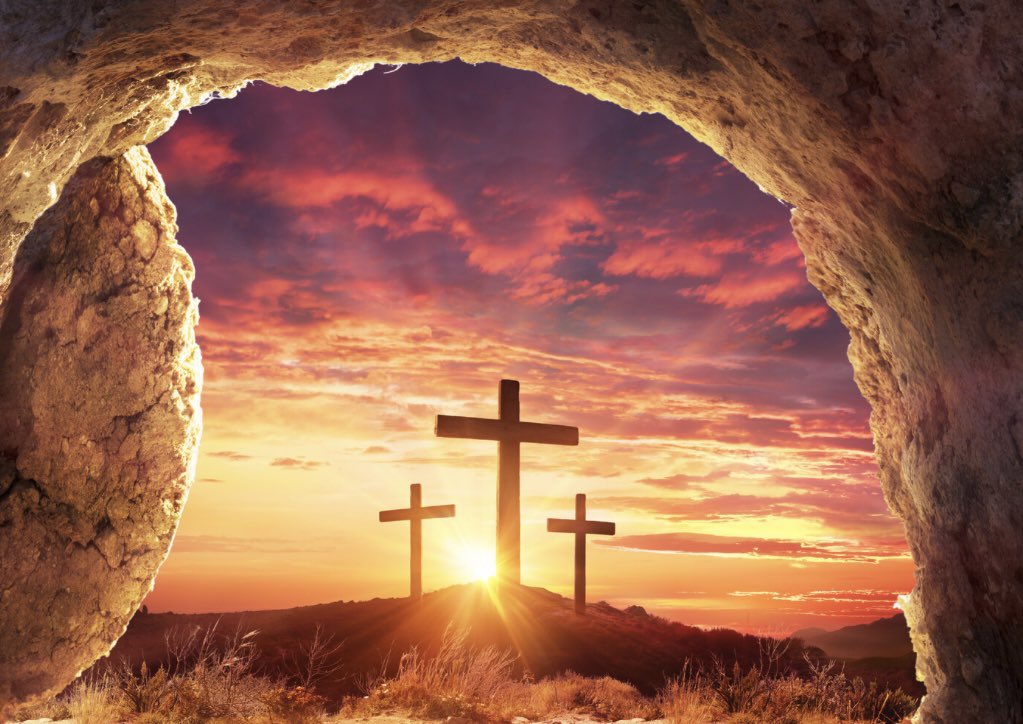 Tyler Todt tweet media