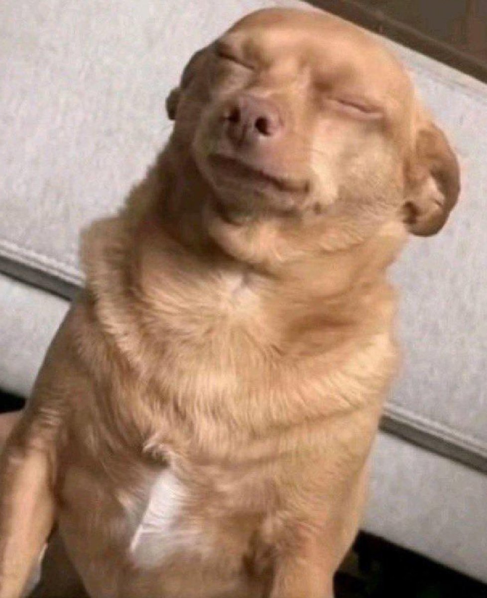 Josuesoki tweet media