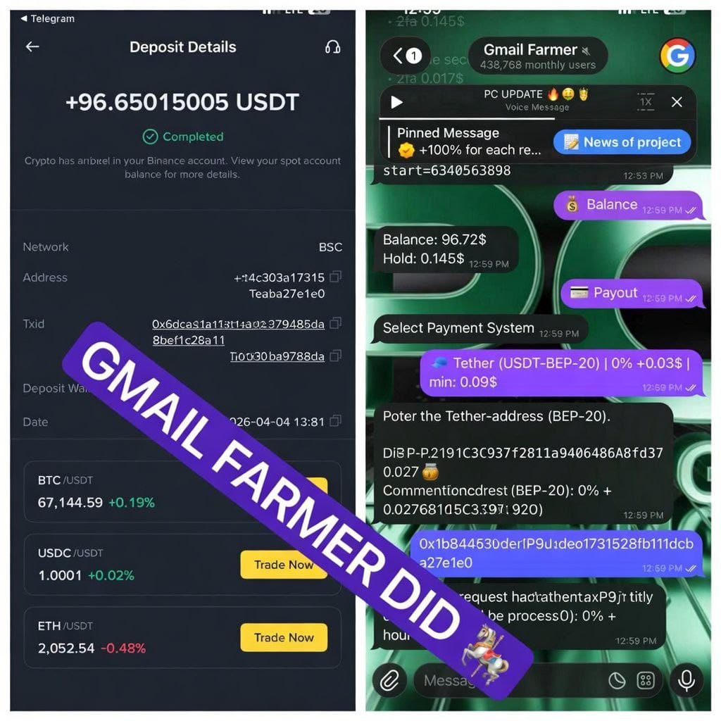 Tobifundz ⚡ tweet media