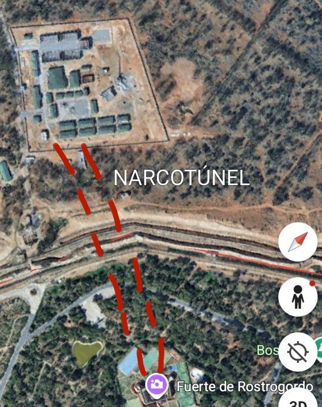 Mirrep II 🐑 tweet media