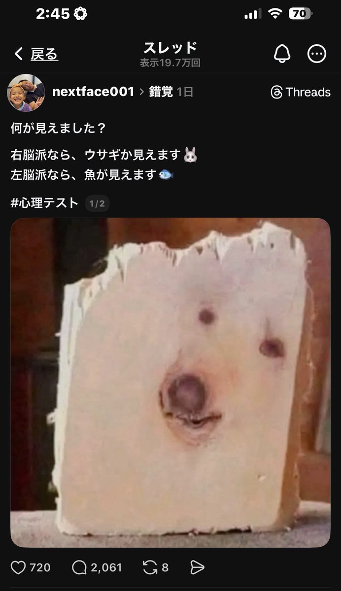 コアラ@直腸癌垢 tweet media