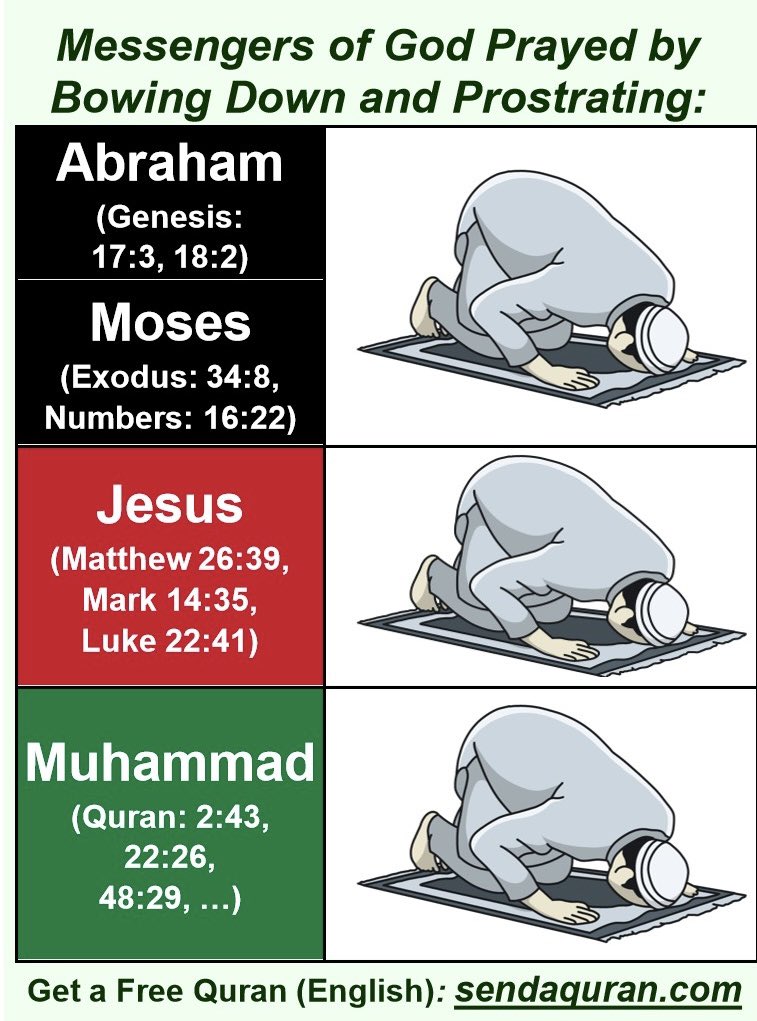 Dr. Dolphin 🇺🇸 tweet media