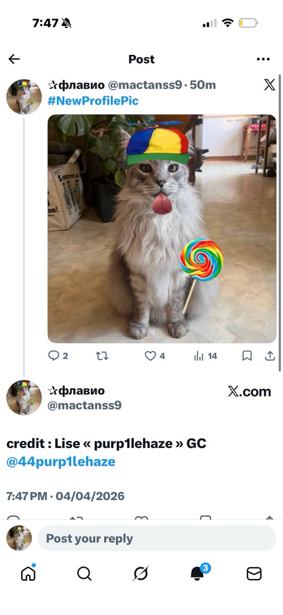 ✰флавио tweet media