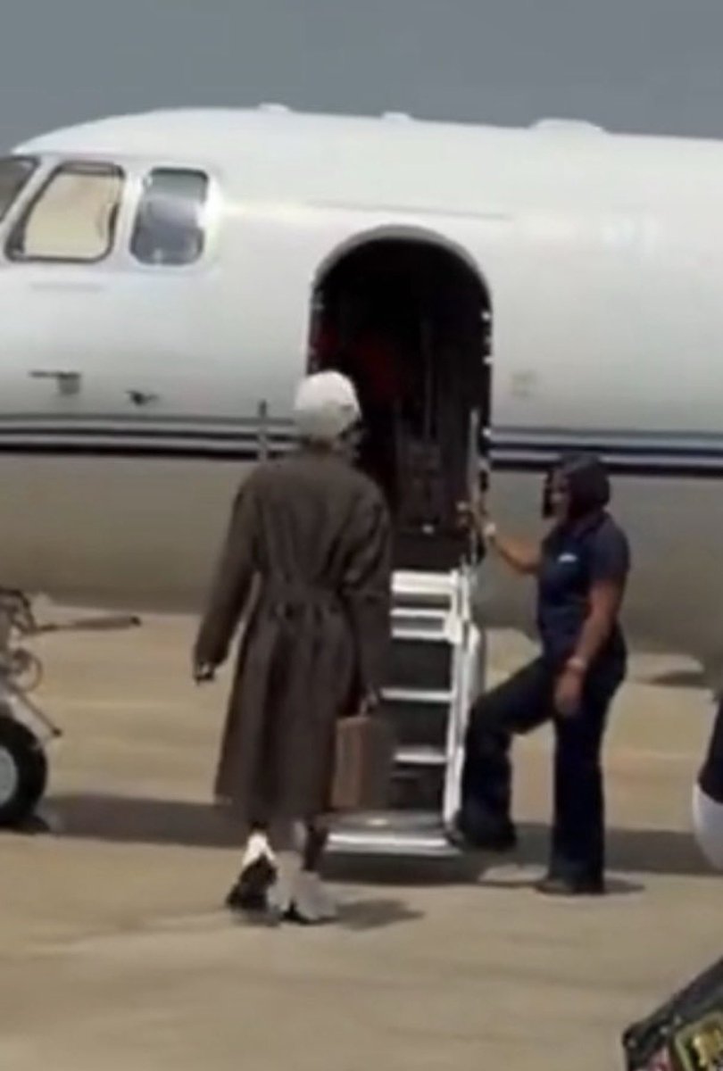 ZinodictCentral tweet media