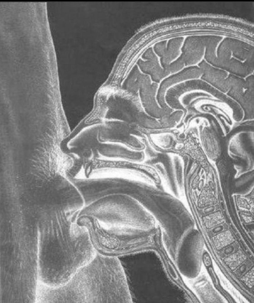 Shad Roaman tweet media