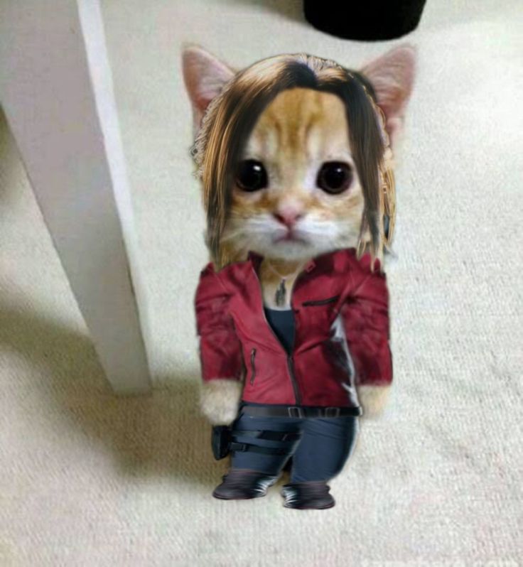 ‍ ‍ ‍‍ ‍ ‍ ‍ ‍‍ ‍ ‍ ‍‍ 𝓒𝐋𝐀𝐈𝐑𝐄 tweet media