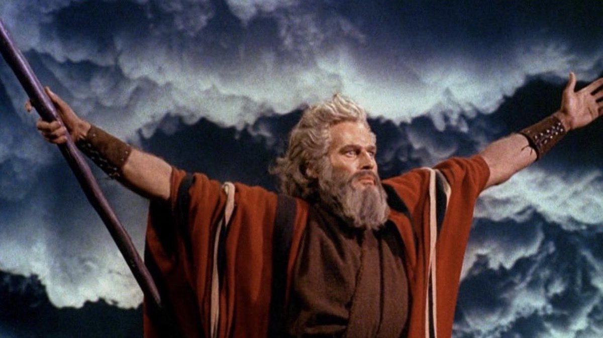 It's 🇺🇸 Tiff 🇺🇸 tweet media