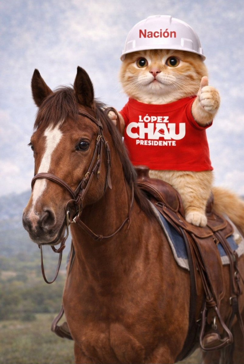 Roy Alta_peru tweet media