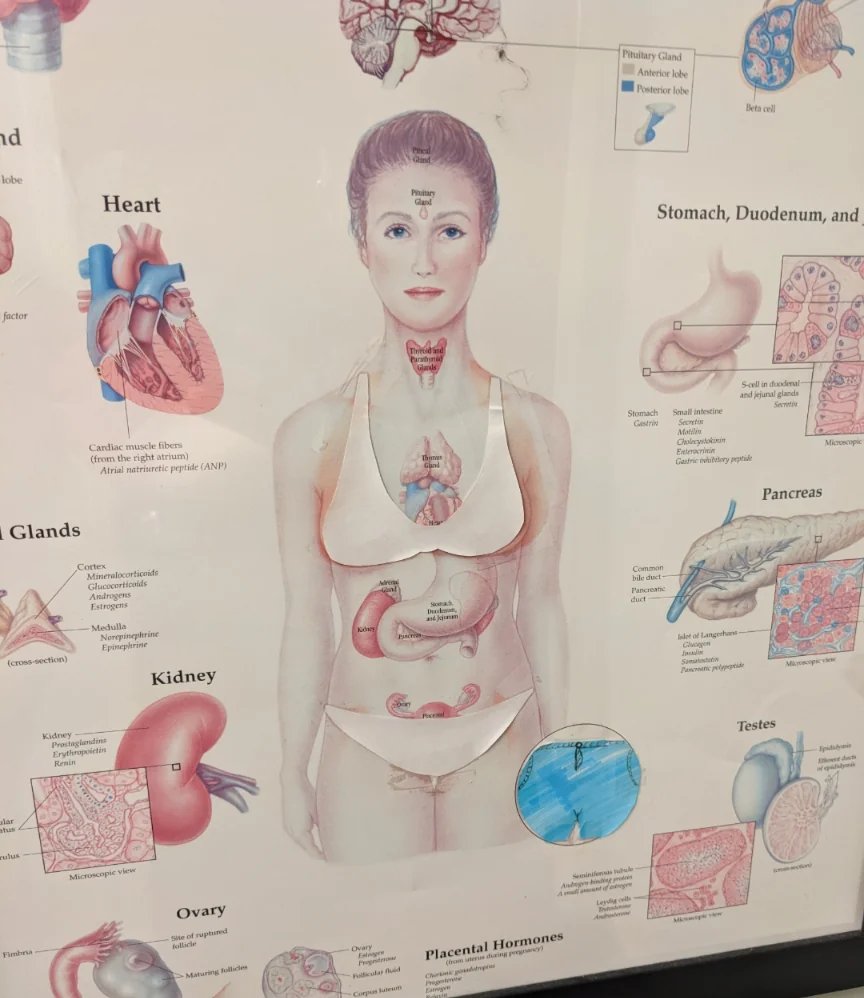 Priti Kri tweet media