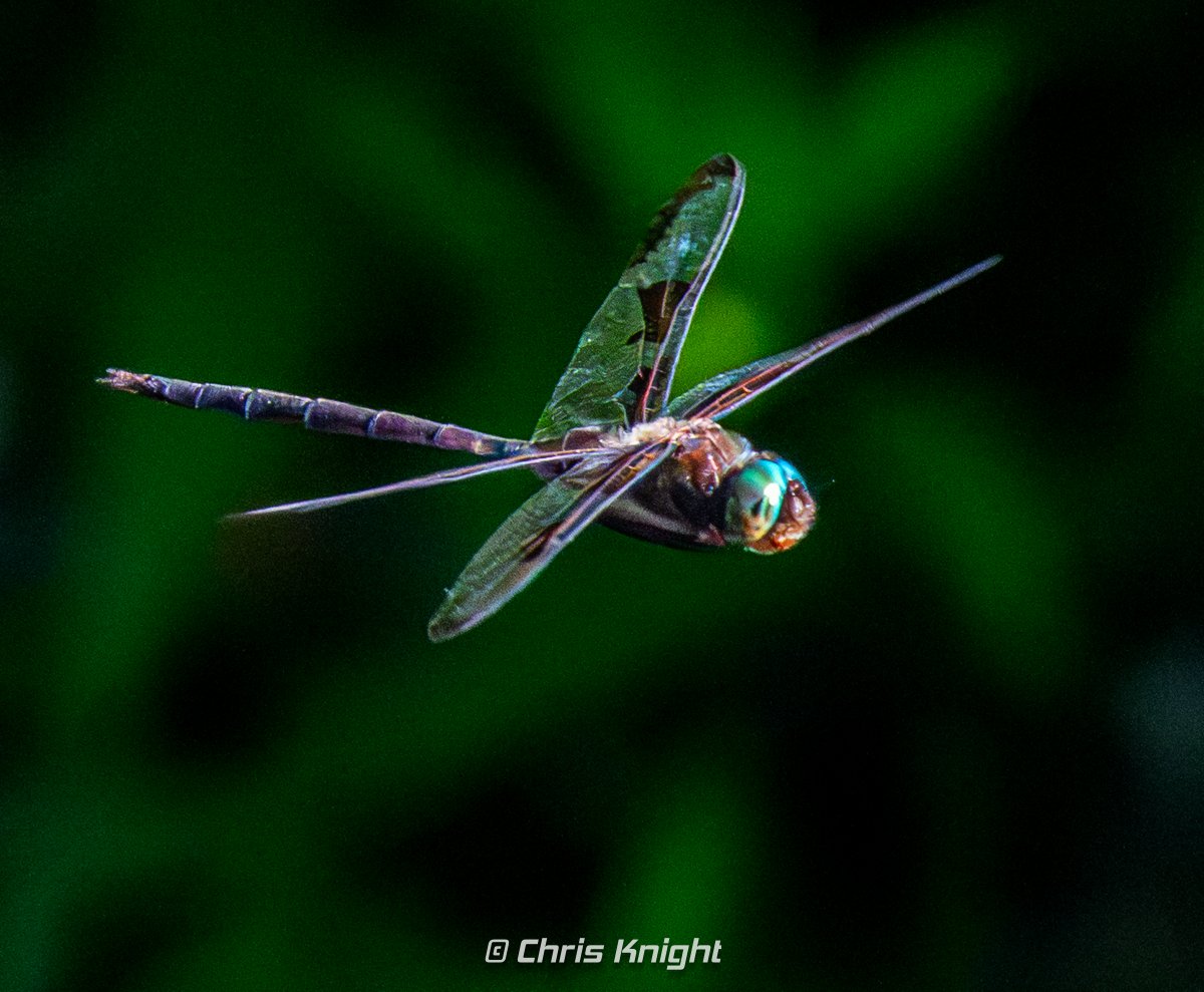 Chris Knight tweet media