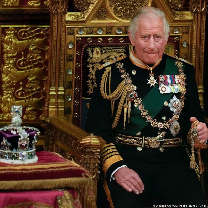 Wolf 🐺 tweet media