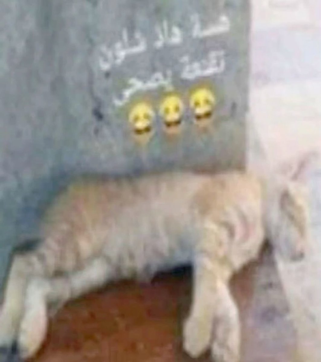 قائد لواء المظليين في حارة حريك tweet media