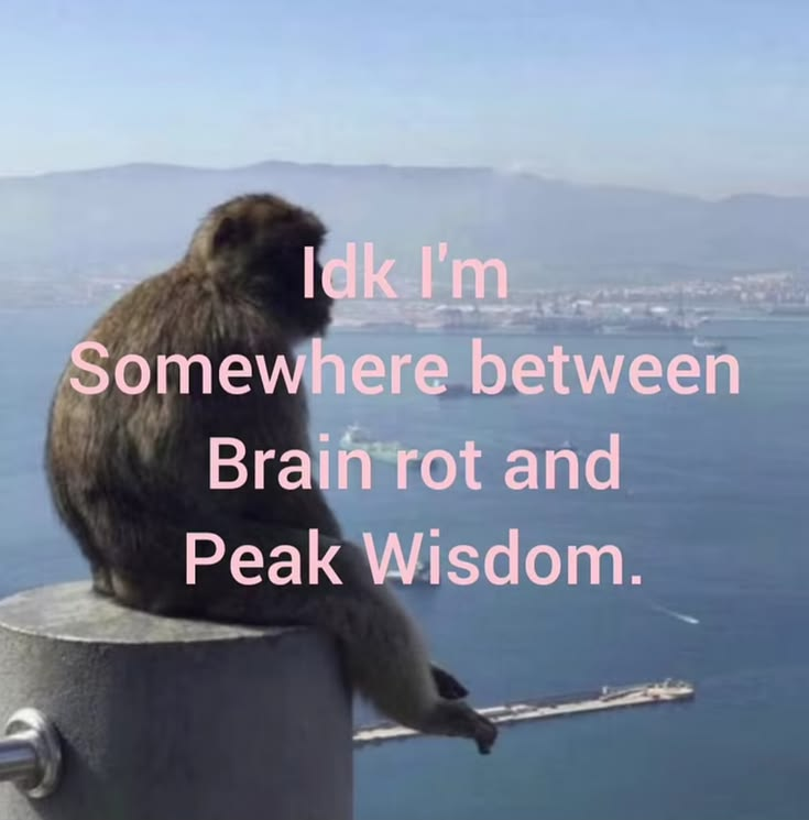 ella🌸 tweet media