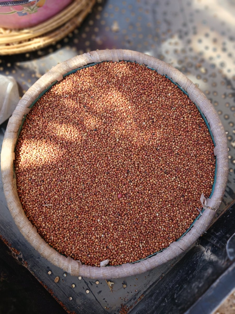 nziokamul1's tweet photo. We farm purely organic, alkaline, high frequency foods.
Sorghum, pearl millet and millet.
Mûvya, mwee na wîmbî. https://t.co/qk6YmtVphO