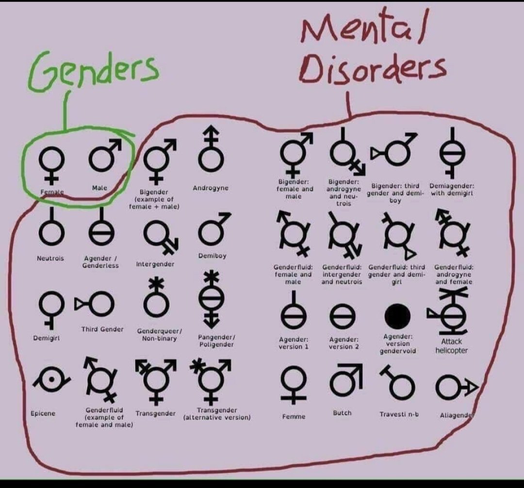 Martin J Morciglio tweet media