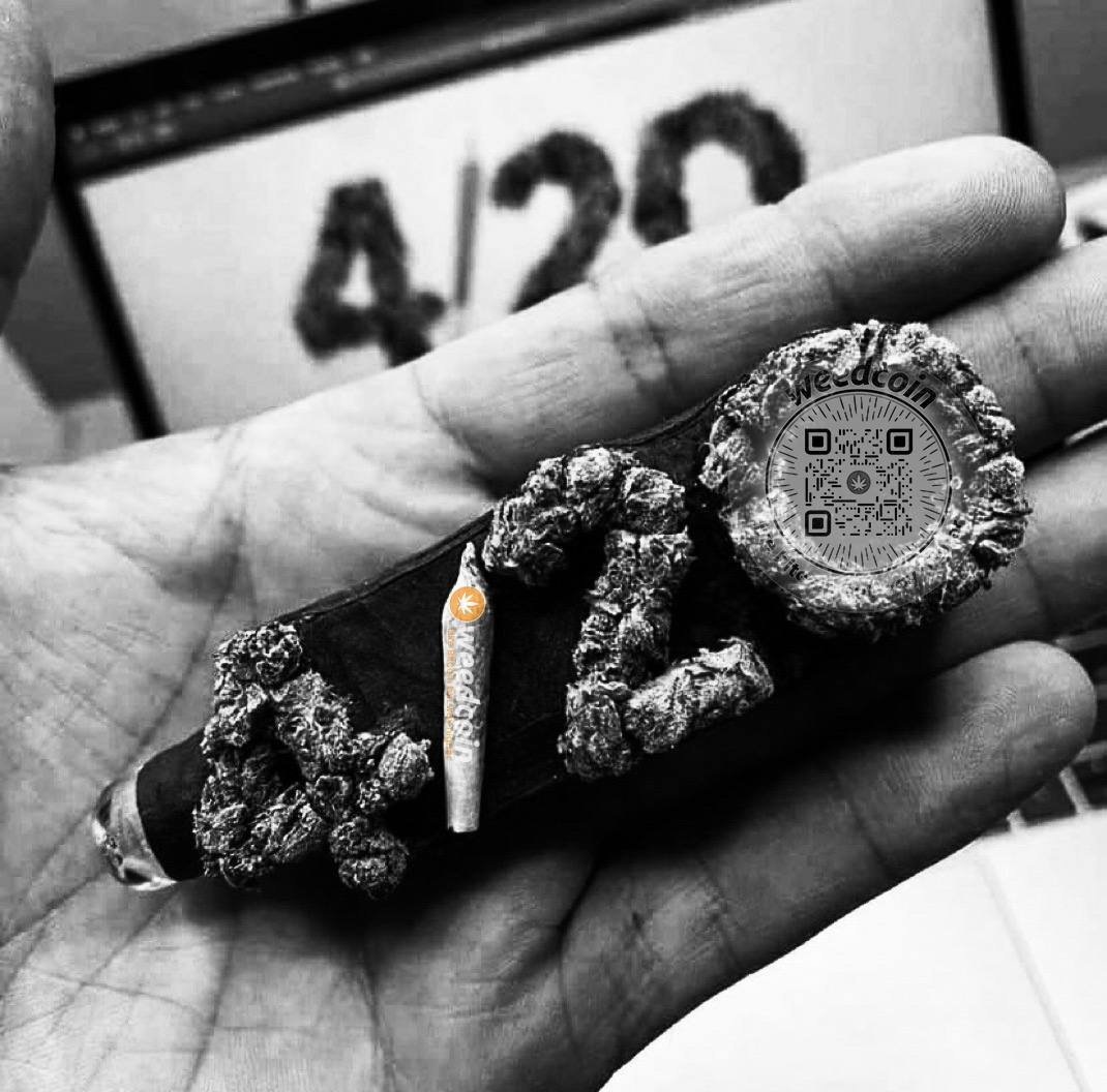 ZenSquirtle's tweet photo. @KayTheDoc Check out $Weedcoin Doc 

Community has been grinding for over a year on X and TG 

Real culture doesn't fade 💯 https://t.co/v8xO69HvZX