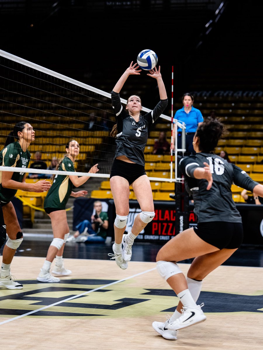 Colorado Buffaloes Volleyball tweet media