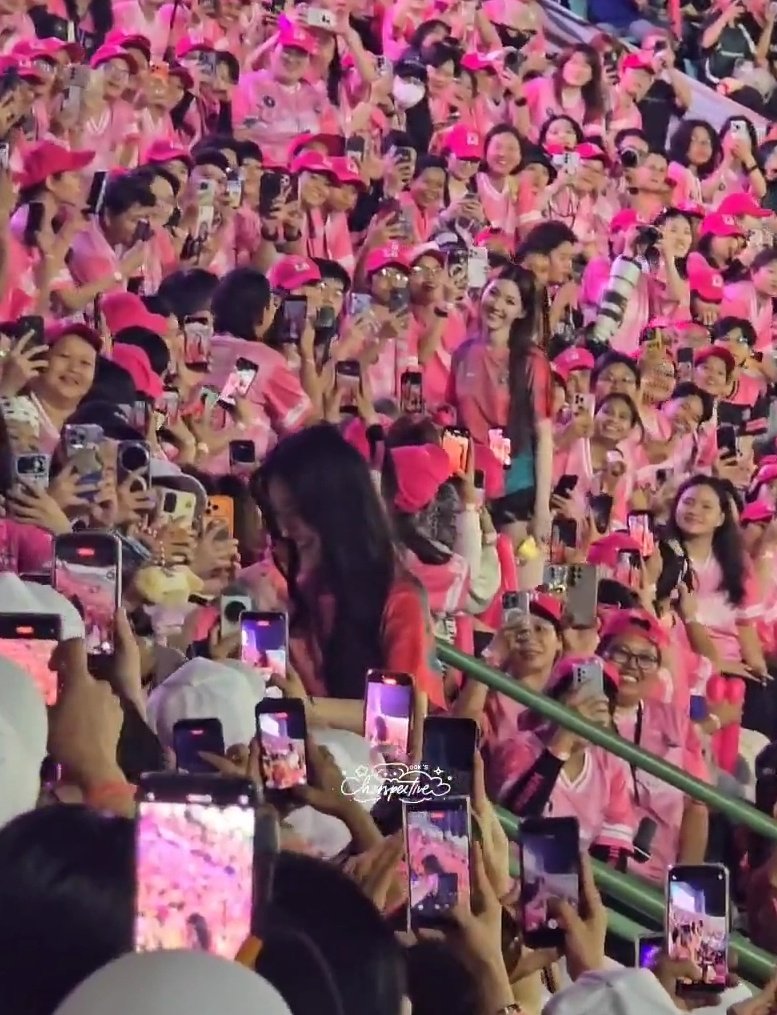 p 🐭🖤🦜 tweet media