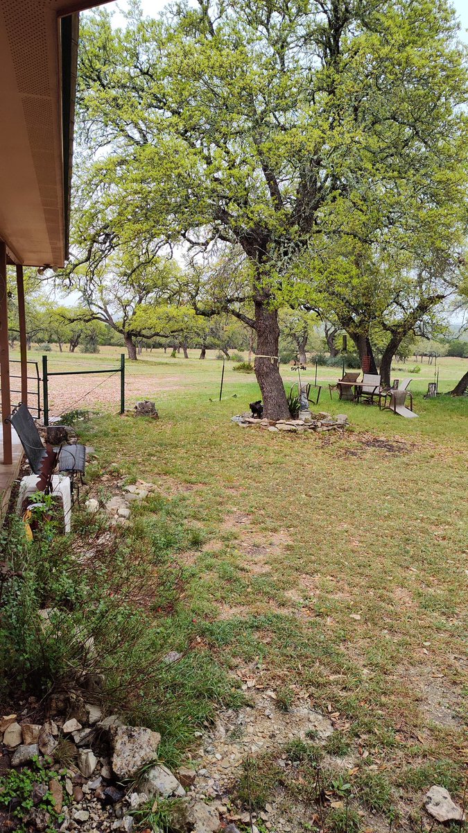 John Hancock tweet media