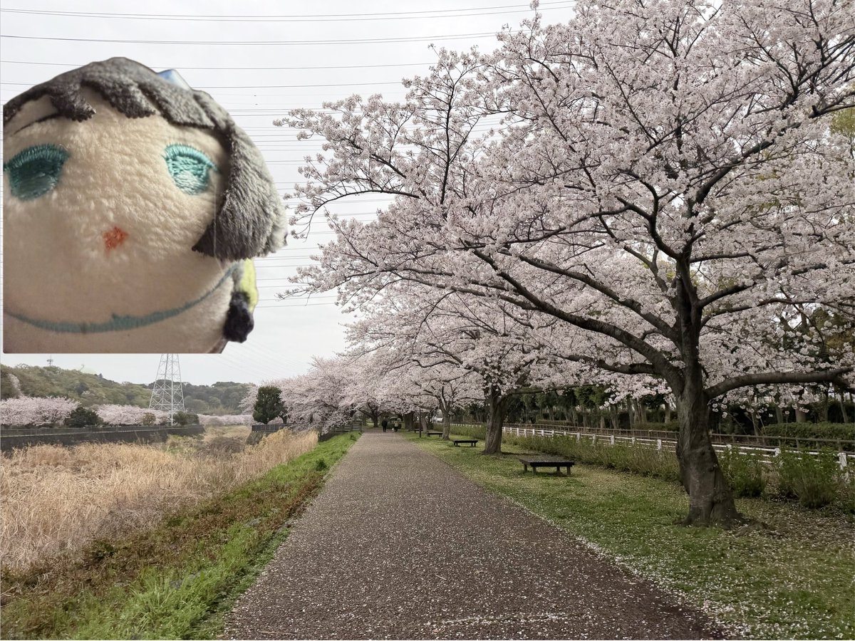 nEぎ🌱 tweet media