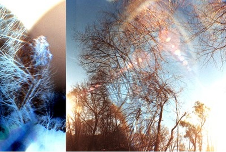 Twisted Vine (@TwistedVineLit) / Posts / X