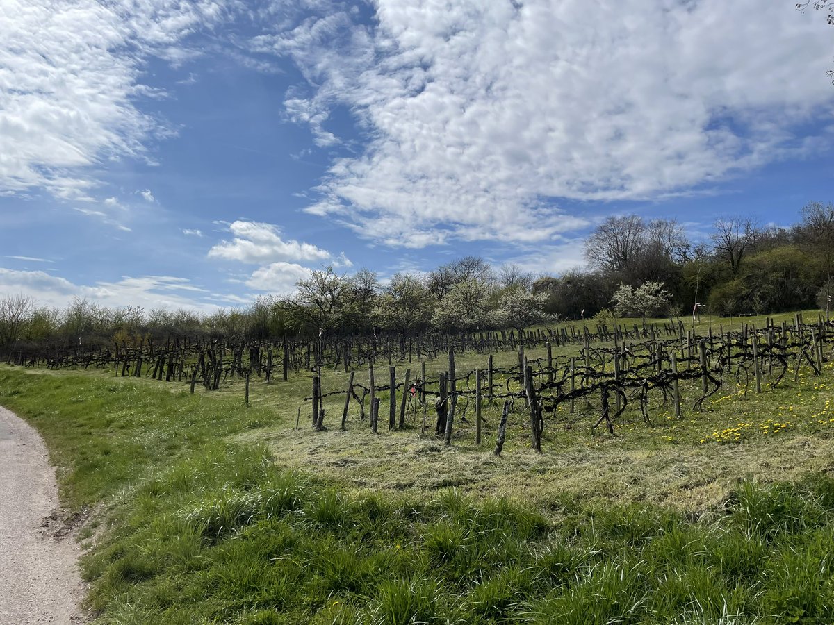 🚄Deric tweet media