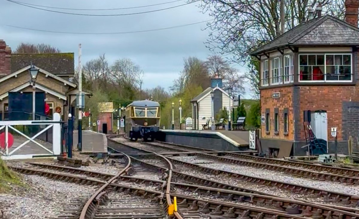 Tim Dunn tweet media