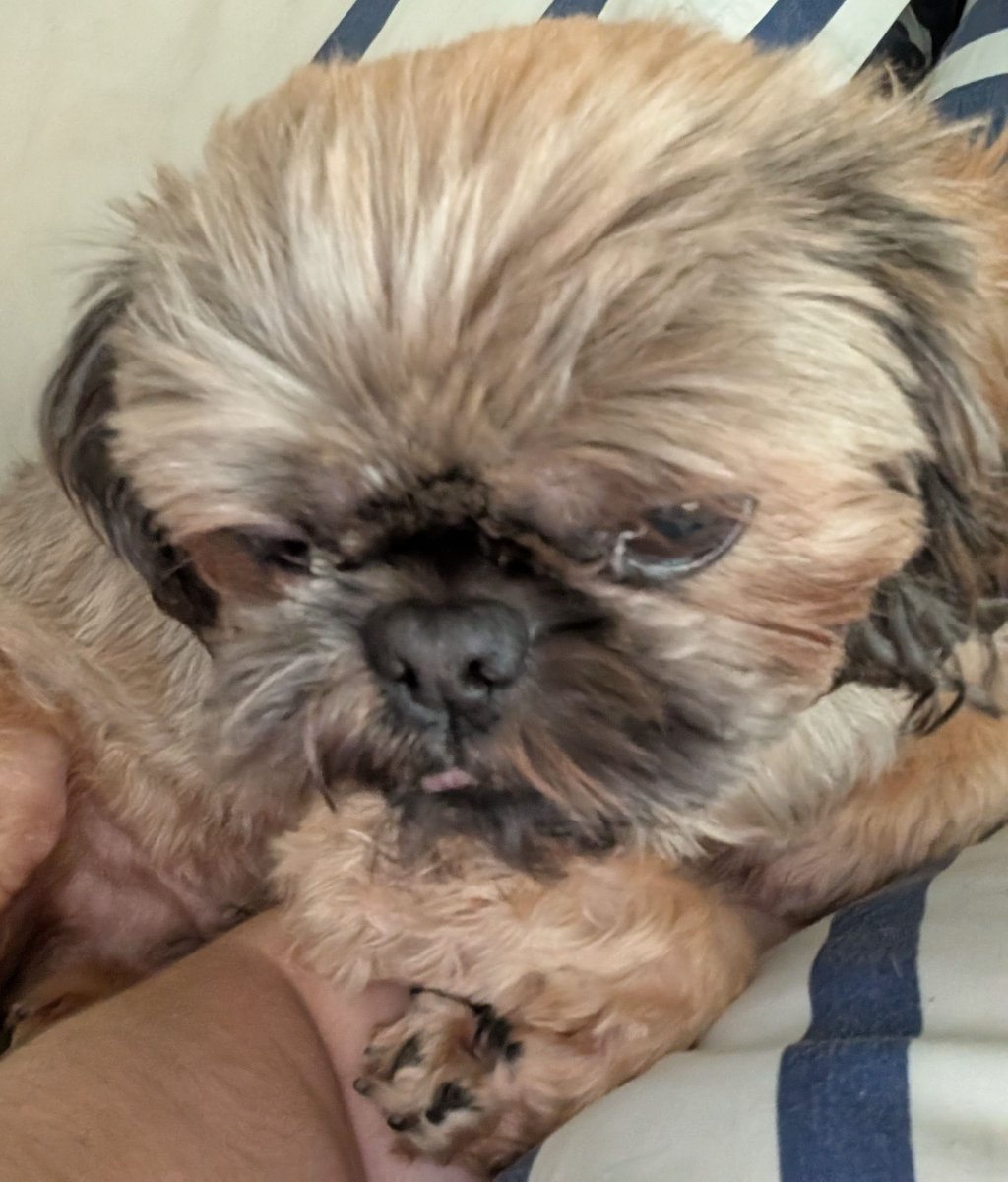 chris towers tweet media