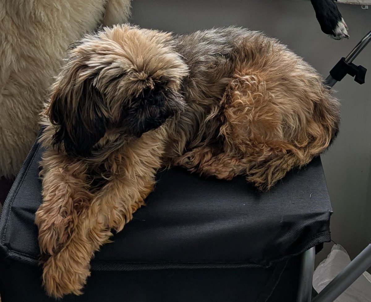 chris towers tweet media