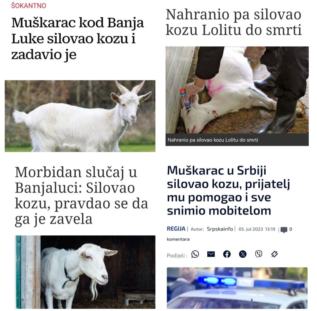 DimDimbo tweet media