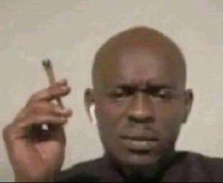 If Action speaks louder than words why do we learn English instead of kung fuu 💨