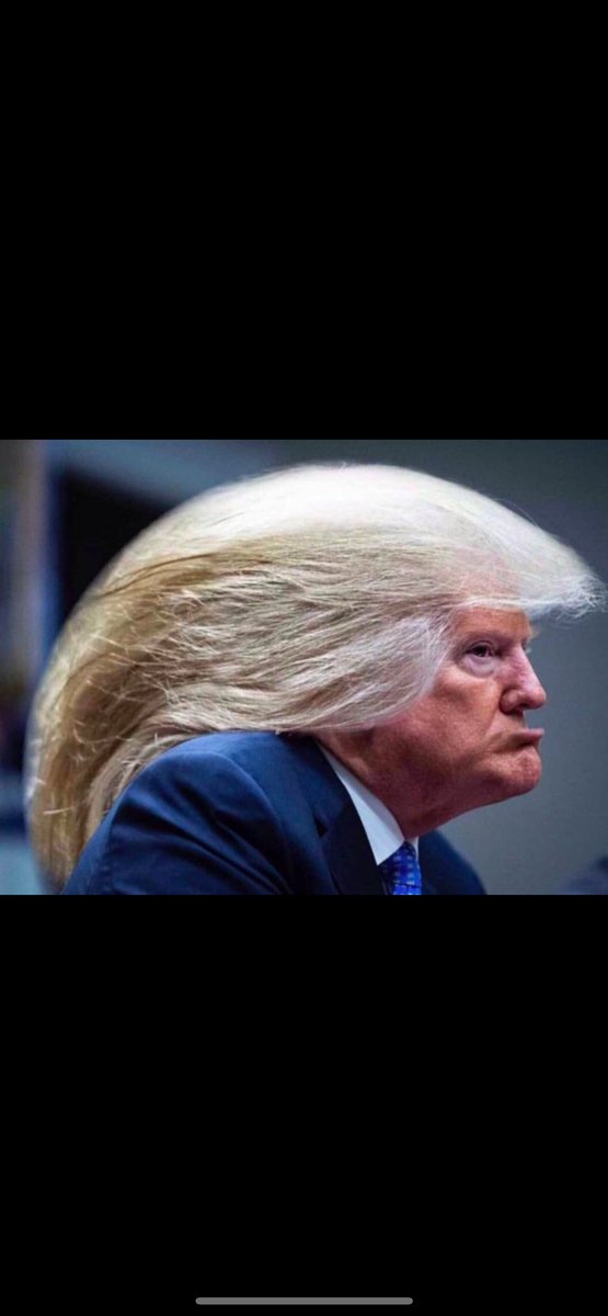 Lindsay Barrilleaux tweet media