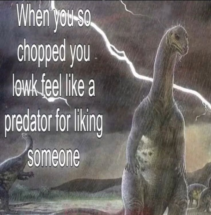 ella🌸 tweet media