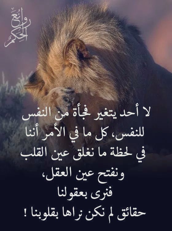 ‎ ‏﮼عيون،الغلا tweet media