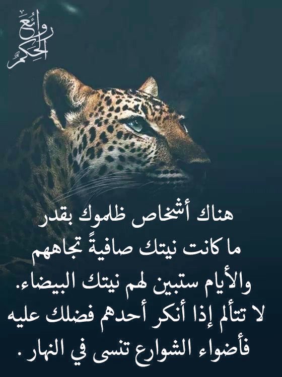 ‎ ‏﮼عيون،الغلا tweet media