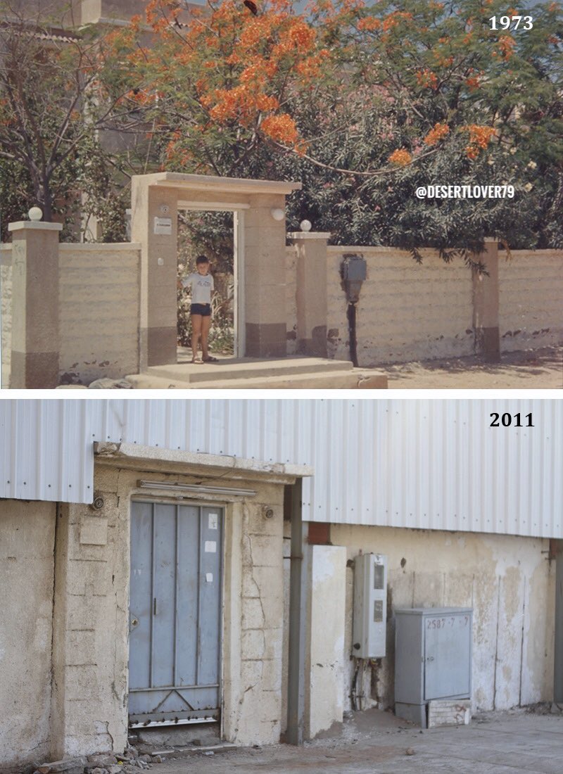 د. مشكك tweet media