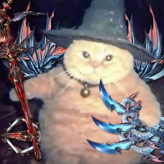 Vyrn_Kings tweet media