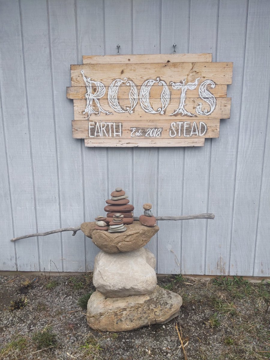 Wellness_Hero's tweet photo. ROOTs EarthStead est.'18 #livingorganics #livingsoil #medicineforest #wellnesstruthfinally #ROOTsPAZnia #ROOTsEarthStead #WellnessHero #FarmasEE #FLX #ROC https://t.co/grf6bpAaEp
