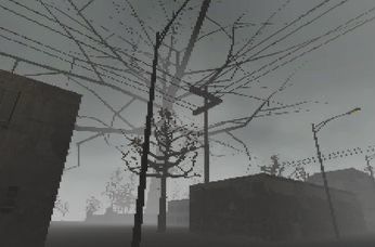 dave † #shedtwt tweet media