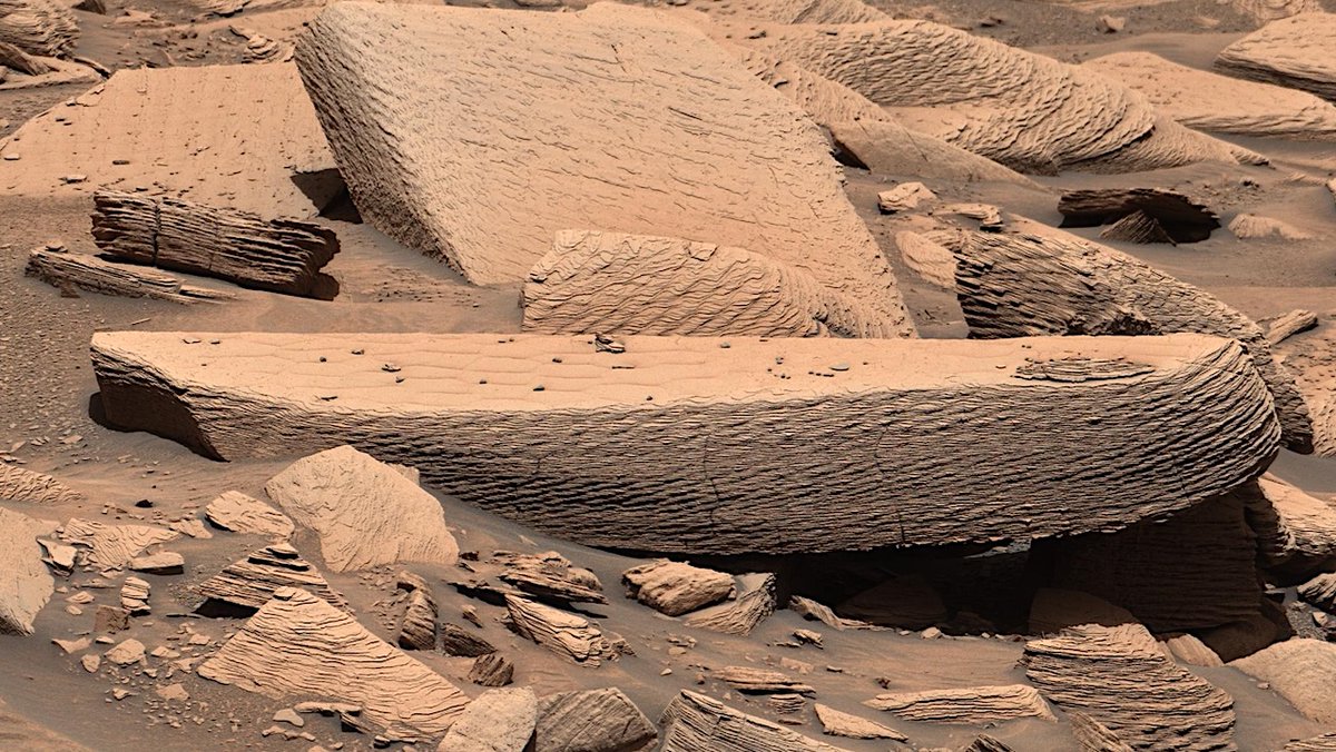 astrobiology's tweet image. Serendipitous Discovery Of Martian Ripple Marks Reveals An Ancient Sandstorm
astrobiology.com/2026/04/serend… #astrobiology #Mars #biosignature