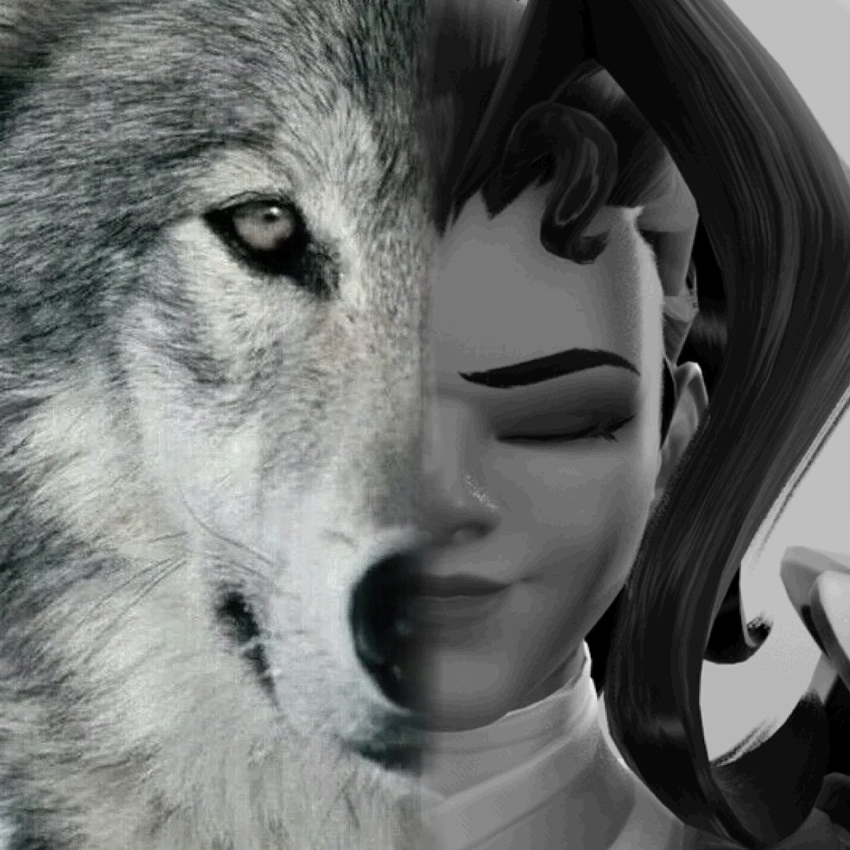 veil 💙 tweet media