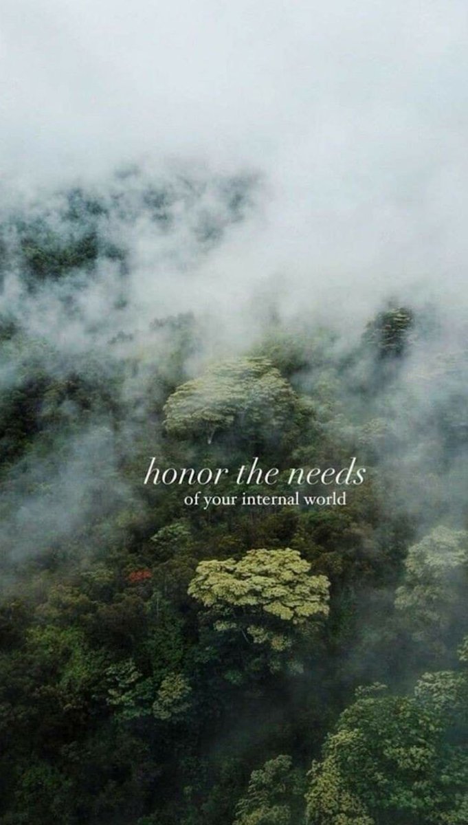 Zen masters tweet media