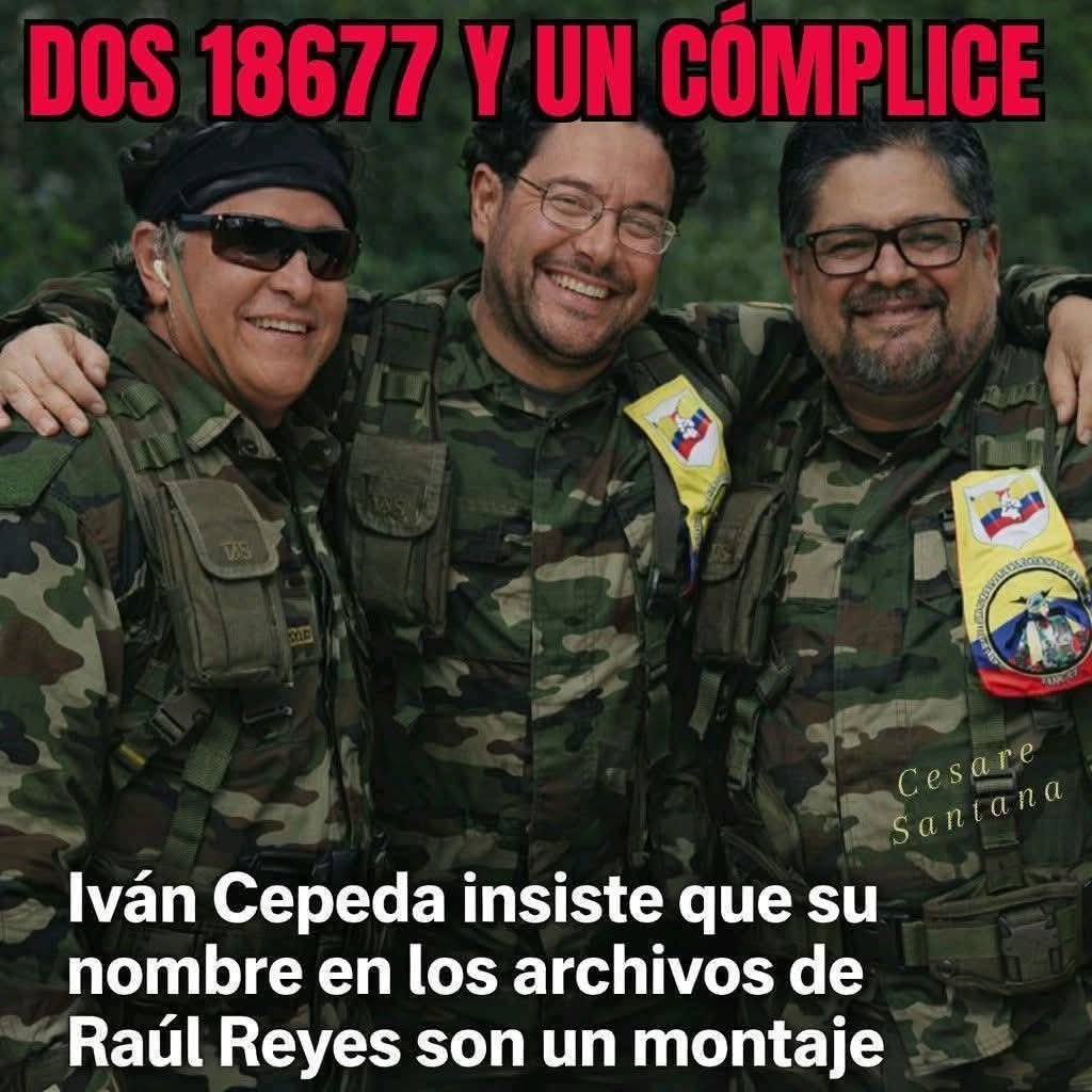 LA LIBERTAD AVANZA NO AL FASCISMO DE IZQUIERDA tweet media