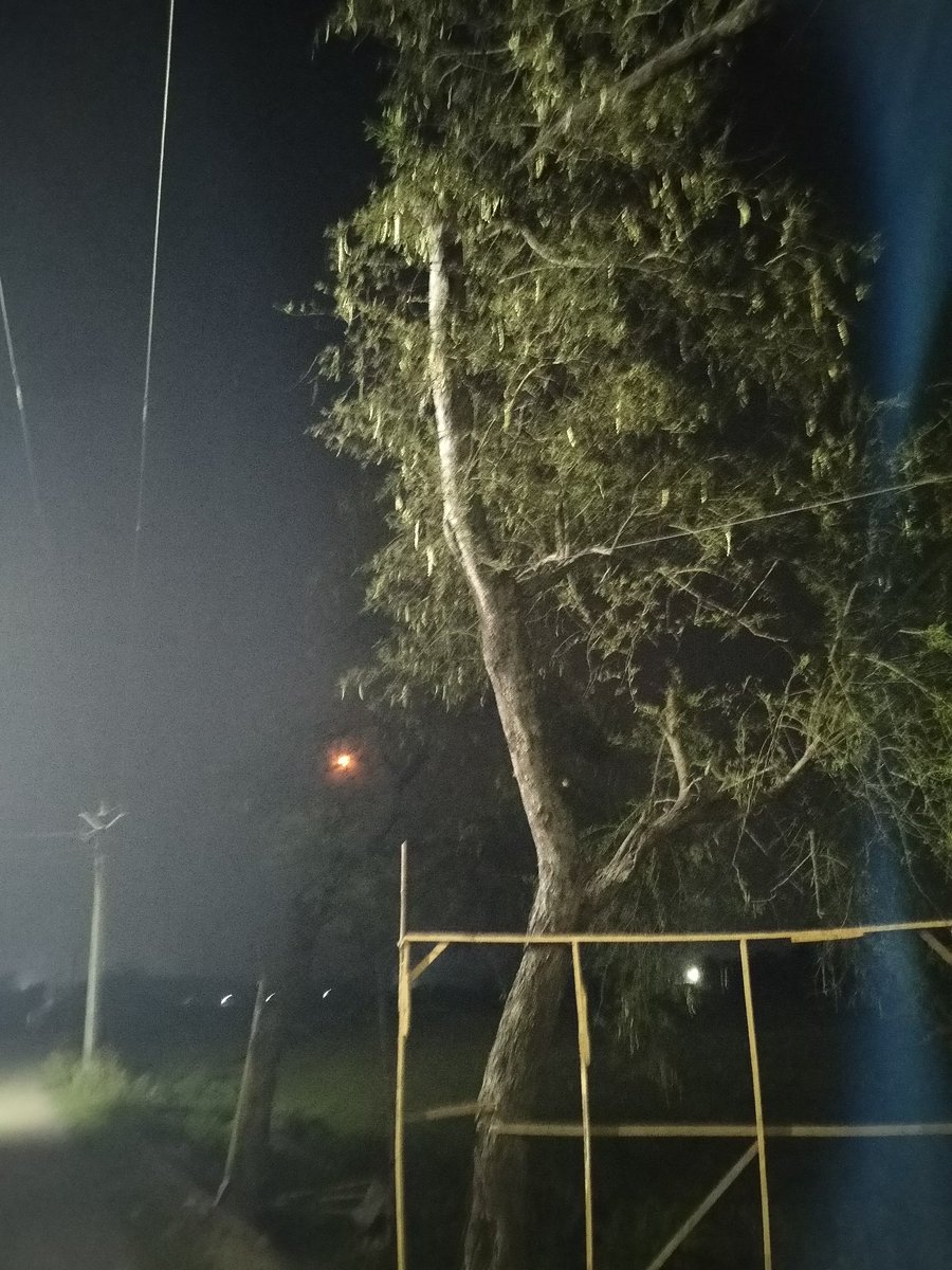 arpana_dhar's tweet photo. चांद अपनी बेशुमार खूबसूरती बिखेरती
जब वो छुपती छुपाती वृक्षों के पीछे
हरे पत्तों से अपना चेहरा ढकती
कुछ सुखी टहनियों पे हल्के से झूलती
हल्की लालिमा लिए, मंद सी मुस्काती
देखती और खुद को निहारती ...🤗❣️
हमारे फोन से आज की रात🤗🤗
#moonsighting
#GoodnightTwitterfriends https://t.co/vtAHGlnlQg