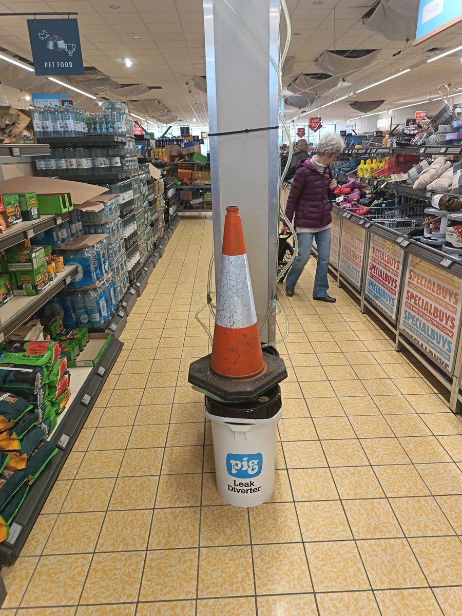 David Fortes 🪻 tweet media