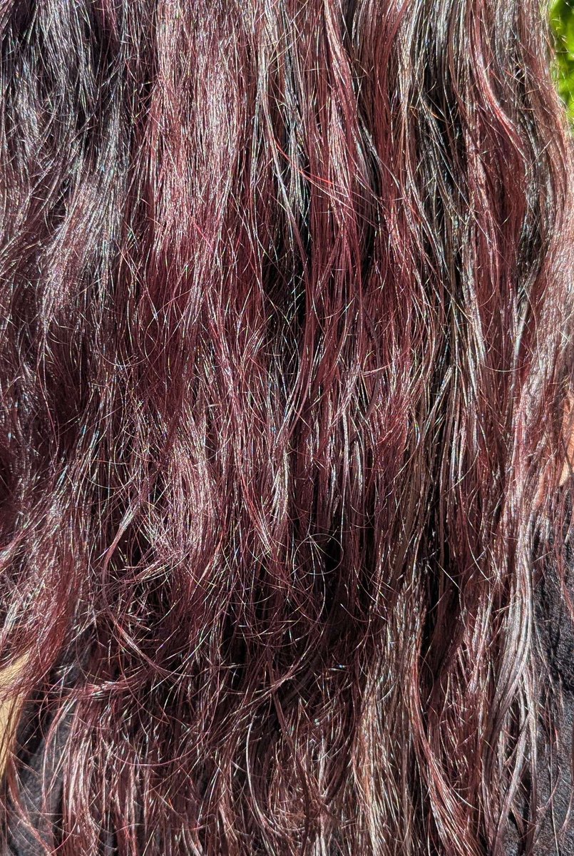 Vellitrix 🌙 Bunny Dog Vtuber tweet media