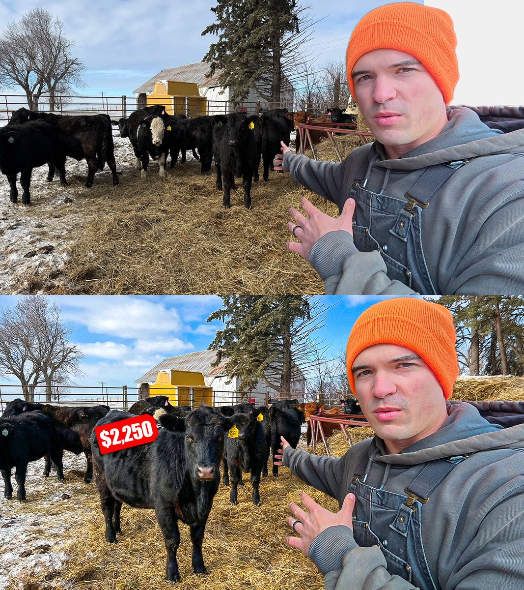 Yaroslav Levchun tweet media