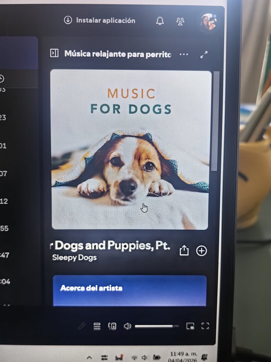 Marisol Cid tweet media