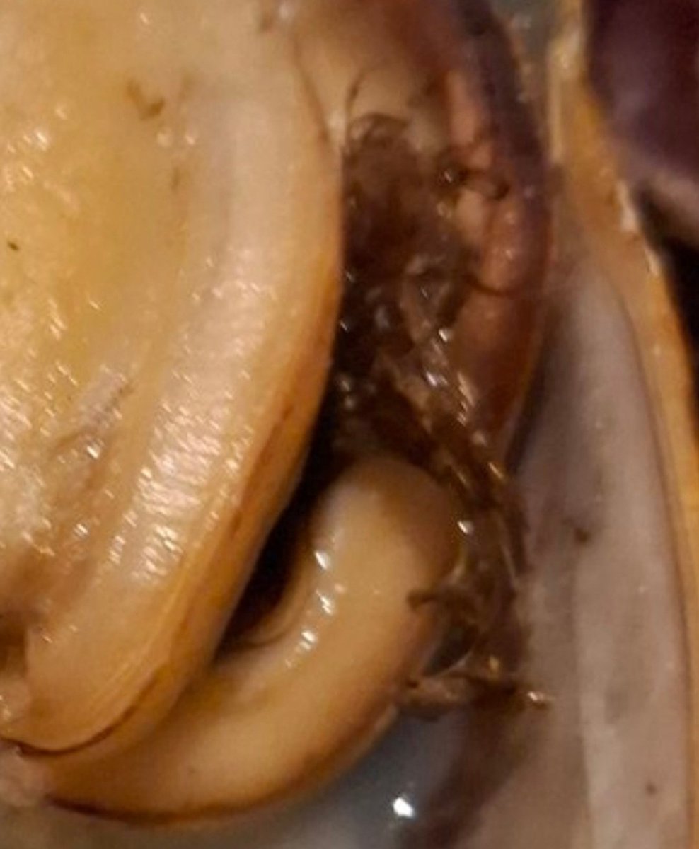 Josephius Antonius #Team Duurzaam tweet media