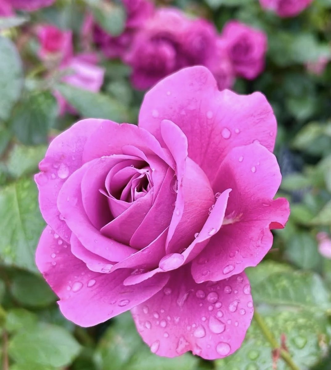 Tapsa Kooo ♊️ tweet media